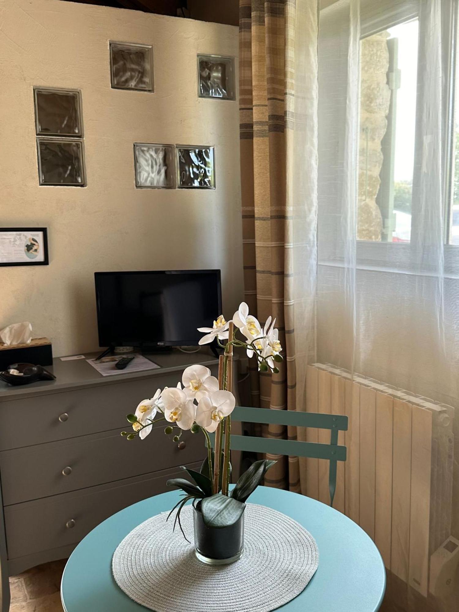 Maisonnette Independante Au Calme Dans Un Grand Jardin Châteauneuf-du-Rhône Екстериор снимка