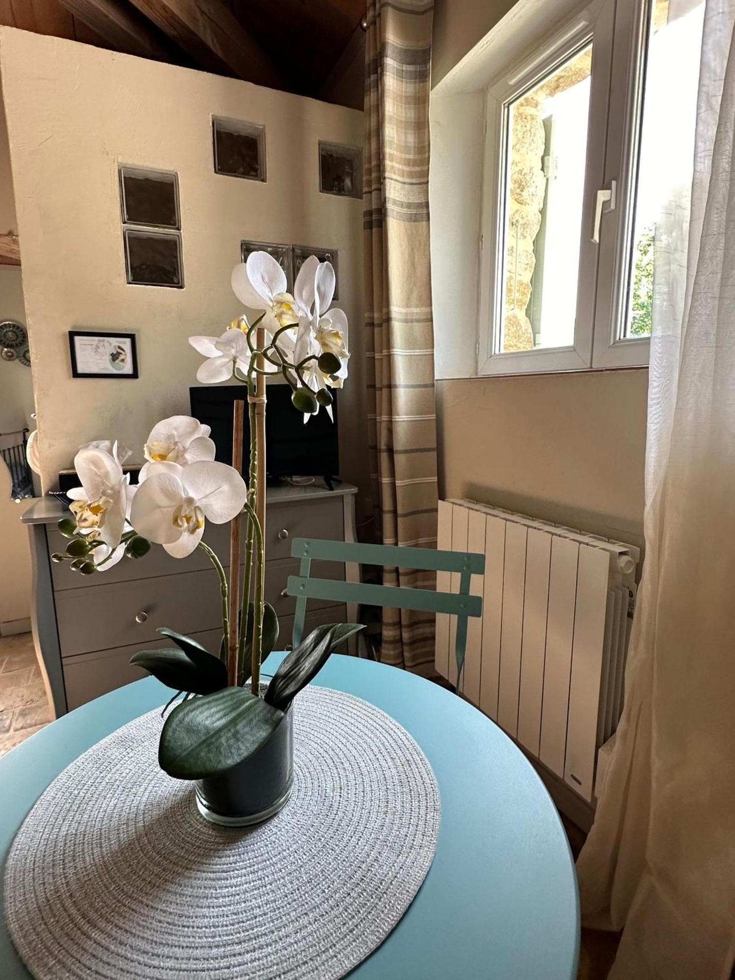 Maisonnette Independante Au Calme Dans Un Grand Jardin Châteauneuf-du-Rhône Екстериор снимка