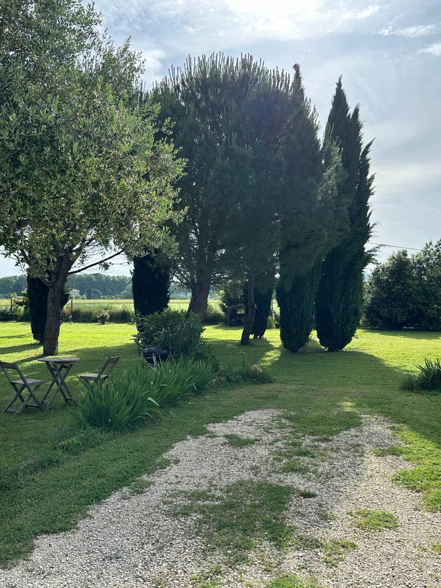 Maisonnette Independante Au Calme Dans Un Grand Jardin Châteauneuf-du-Rhône Екстериор снимка