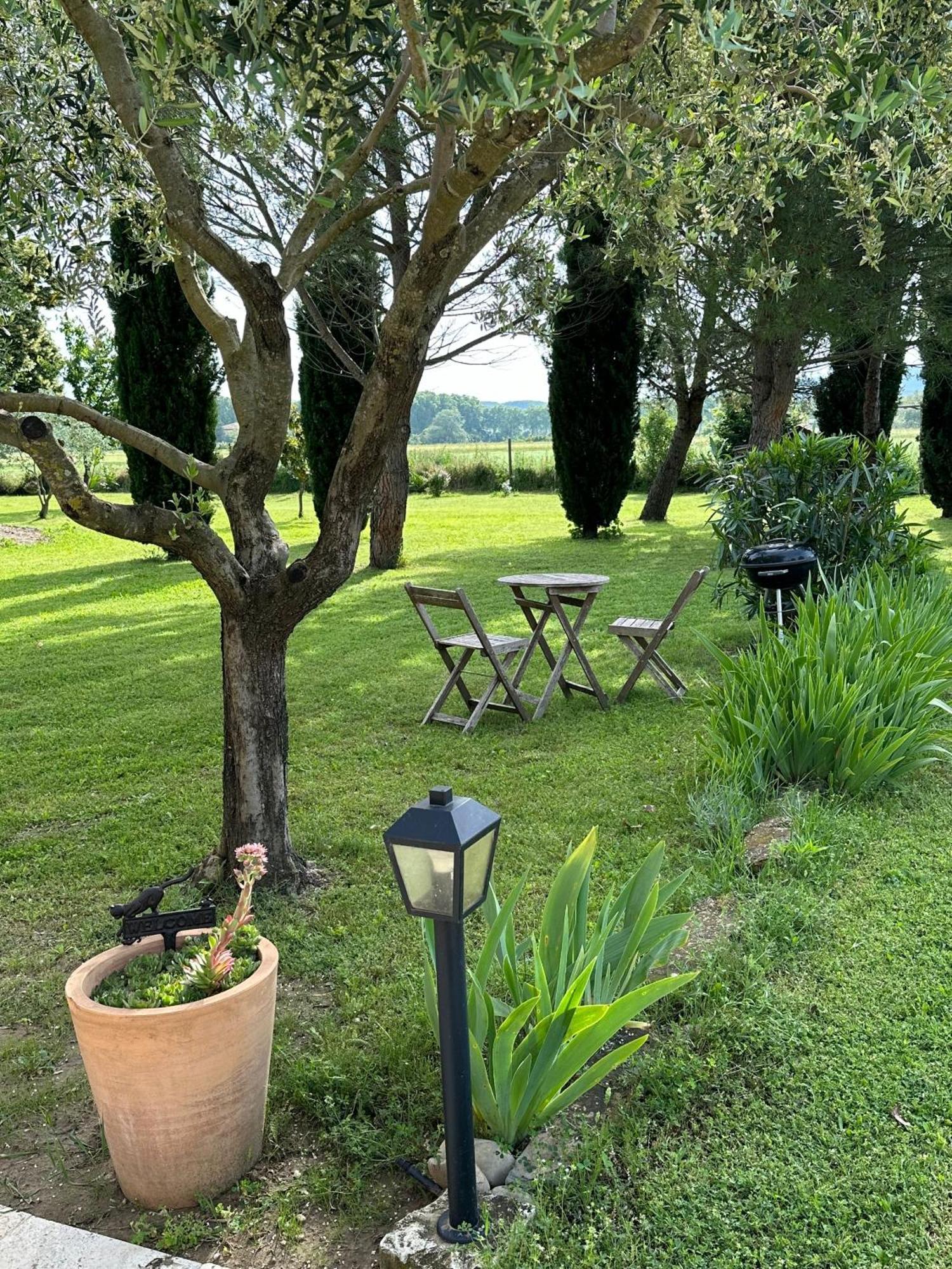 Maisonnette Independante Au Calme Dans Un Grand Jardin Châteauneuf-du-Rhône Екстериор снимка