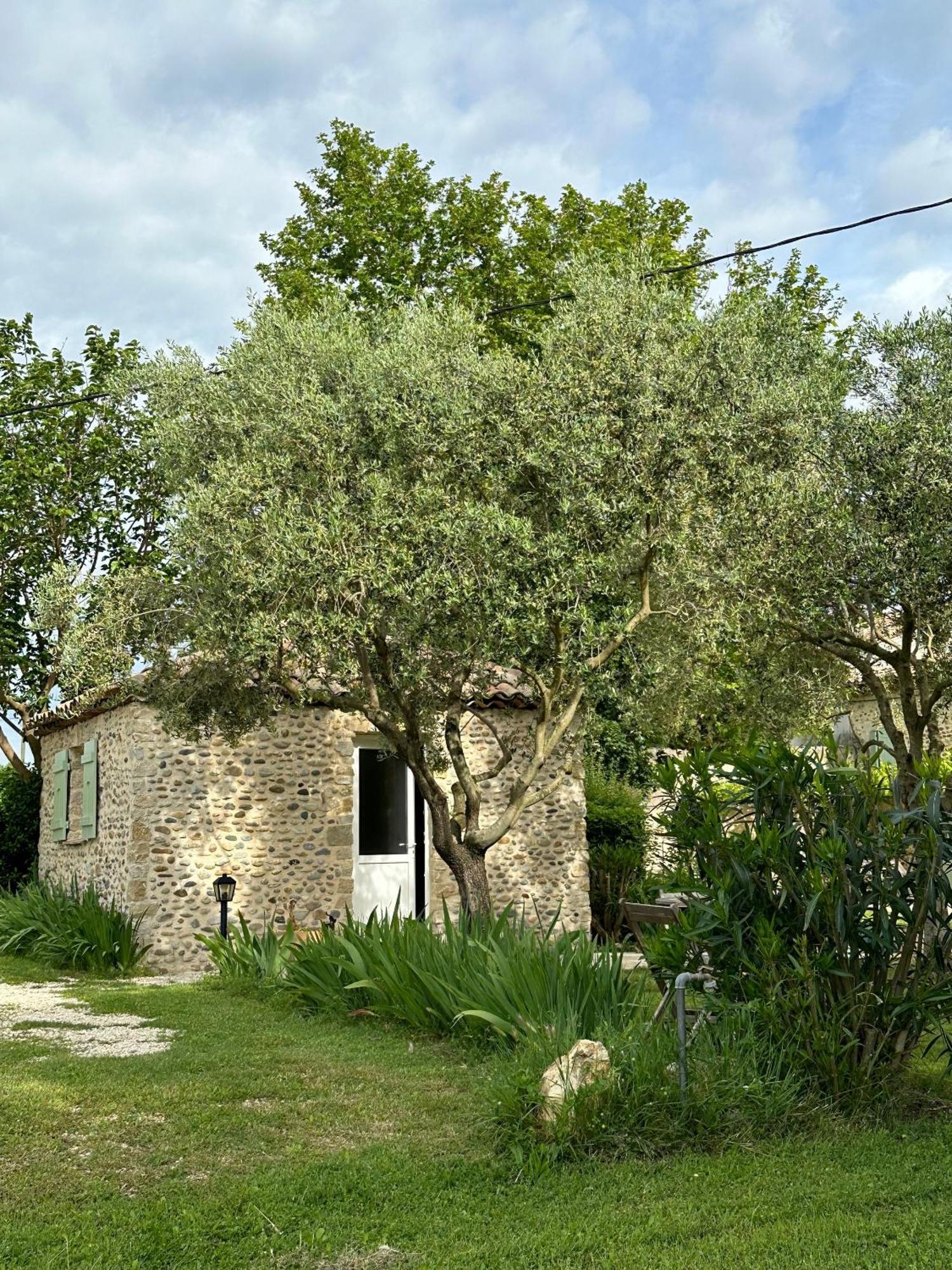 Maisonnette Independante Au Calme Dans Un Grand Jardin Châteauneuf-du-Rhône Екстериор снимка